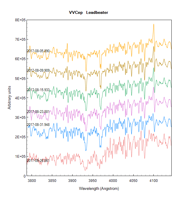 vvcep_20170805-20170926_Leadbeater.png