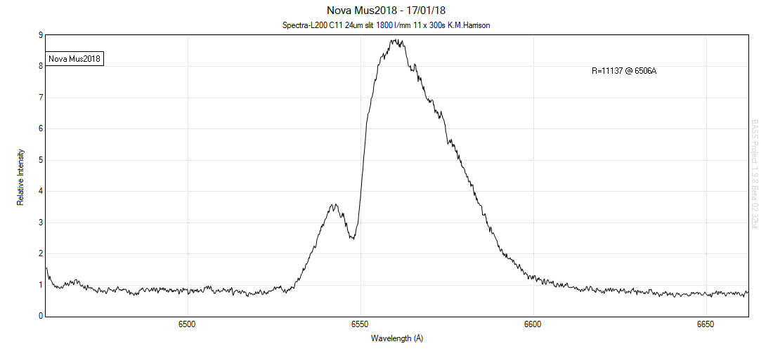 NovaMusca170118.png