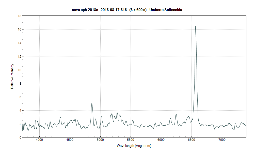 novaoph2018c_20180817_816_Umberto Sollecchia.png