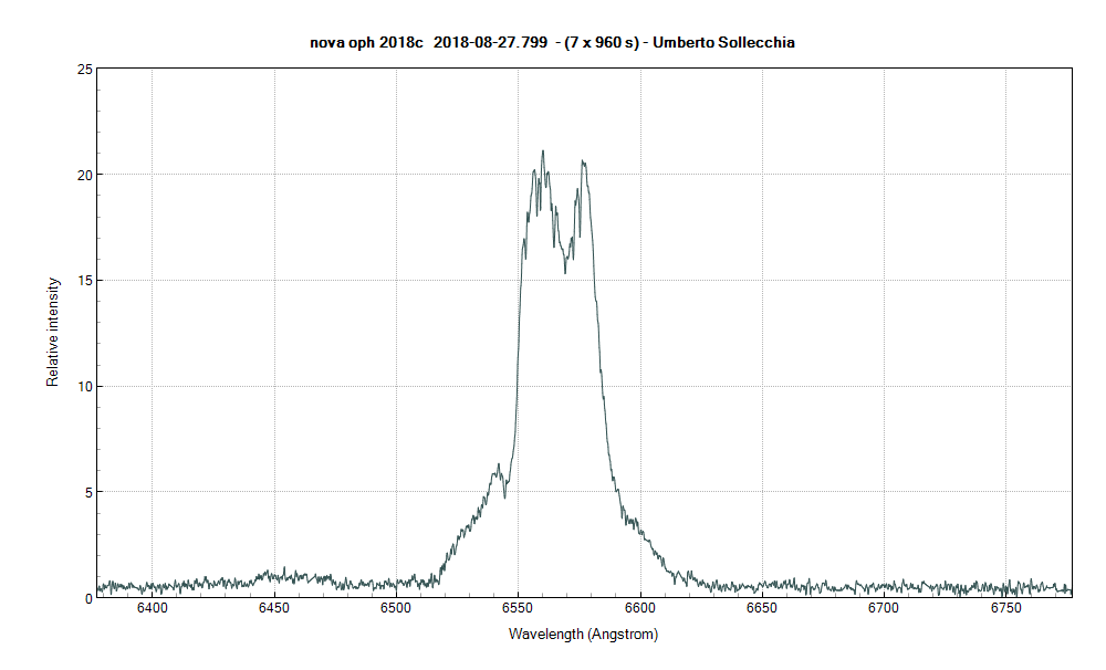 novaoph2018c_20180827_799_Umberto Sollecchia.png