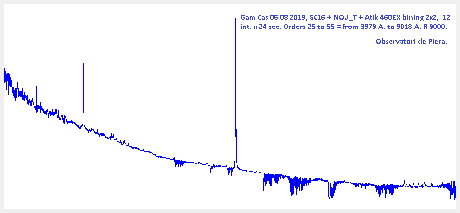 GAM CAS20190805.png