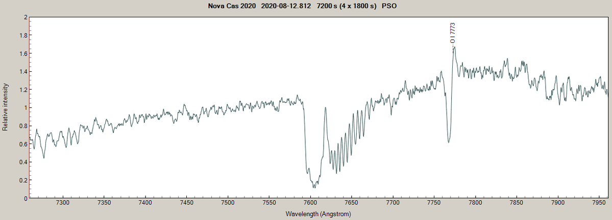 novacas2020_20200812_812.png