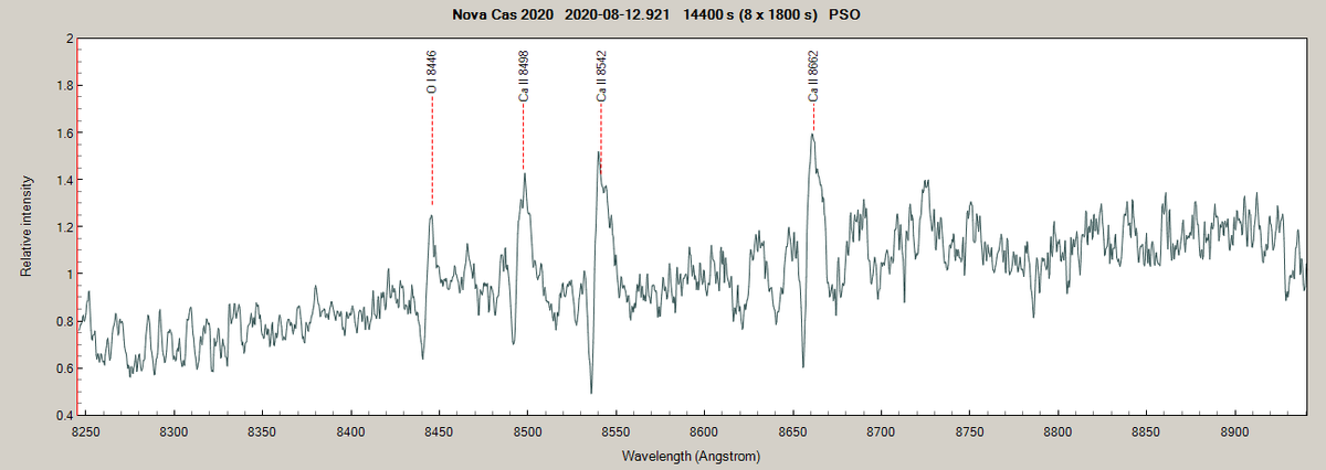 novacas2020_20200812_921.png