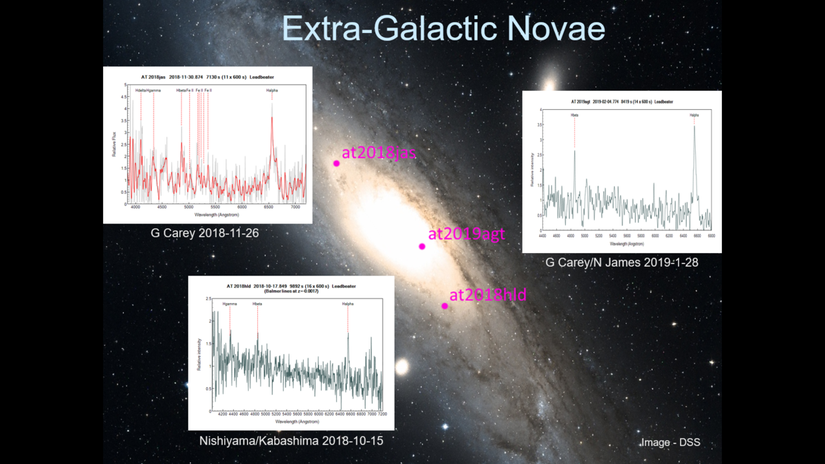 ALPY600_M31_novae.png