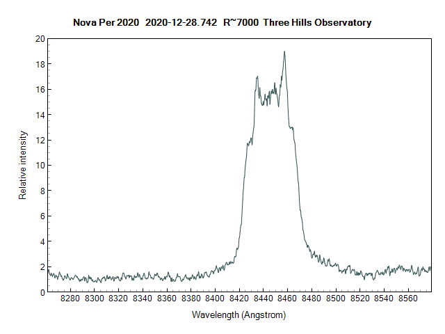 novaper2020_20201228_742_Leadbeater.png