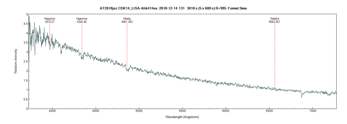 at2018jsc_20181214_131_Forrest Sims annotated.png