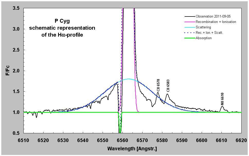 fit profile pcyg.jpg