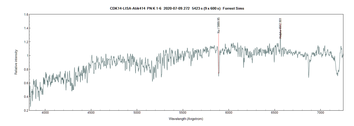 pnk1-6_20200709_272_Forrest Sims annotated.png