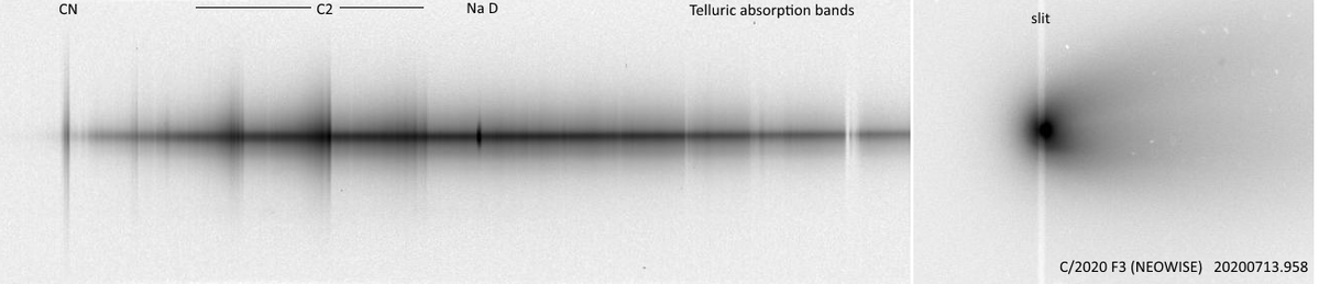 F3_NEOWISE_20200713_coma_section_ALPY600_raw_skysub_annot.png