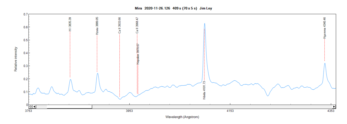 mira_20201126_126_Jim Leyzoom.png