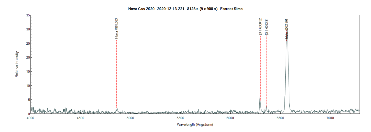 novacas2020_20201213_221_Forrest Sims annotated.png