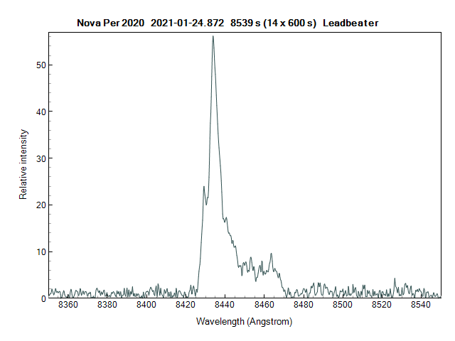 novaper2020_20210124_872_Leadbeater.png