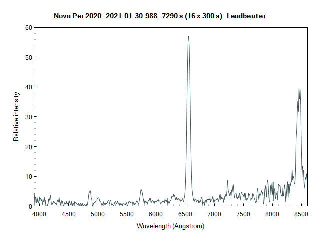 novaper2020_20210130_988_Leadbeater.png