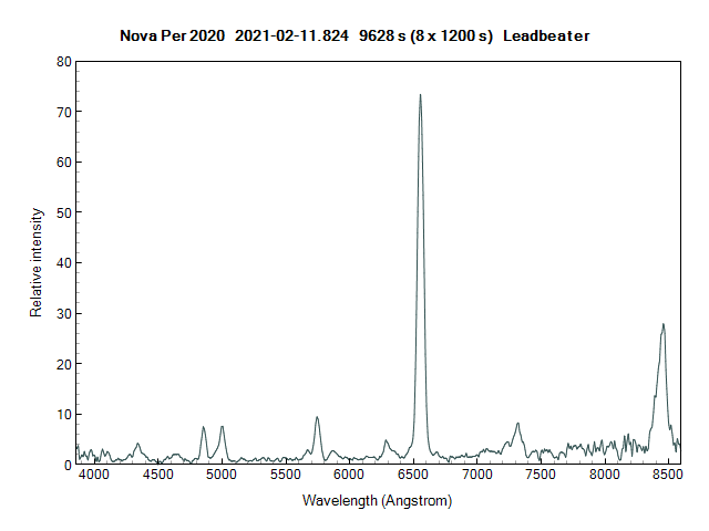 novaper2020_20210211_824_Leadbeater.png