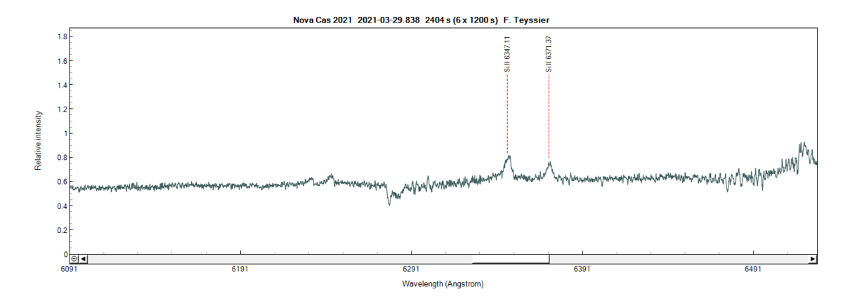 novacas2021_20210329_838_F. Teyssier.png