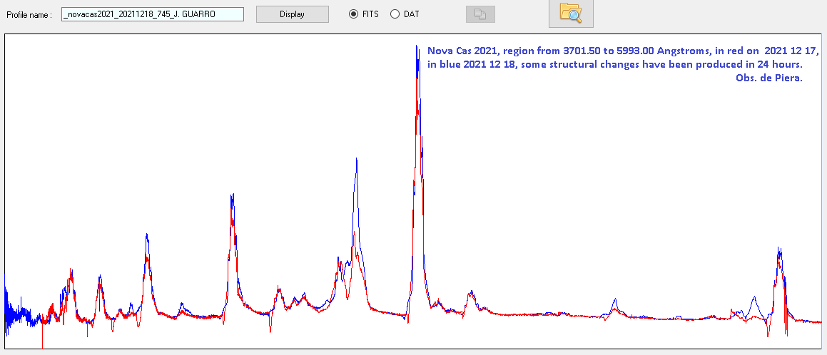 NOVA CAS2021_4.png