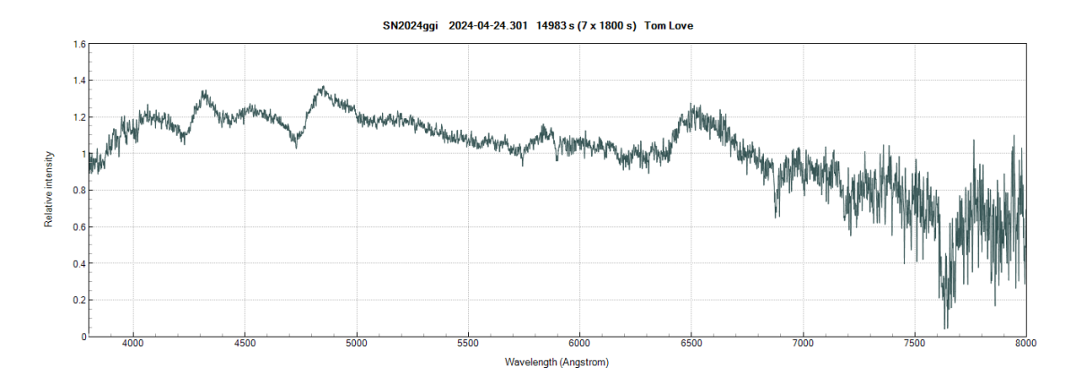 sn2024ggi_ 20240424_301_Tom Love.png